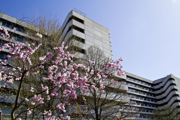 Klinik am Eichert, ALB FILS KLINIKUM