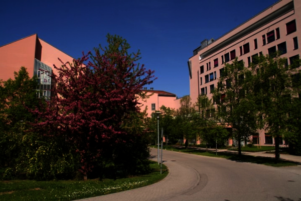 AMEOS Klinikum St. Elisabeth Neuburg (bis 1.7.22: KJF Klinik Sankt Elisabeth Neuburg)